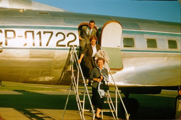 ������ 1956