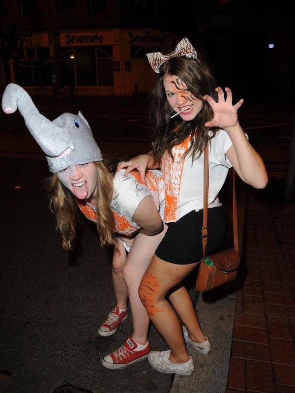 ������ ��������