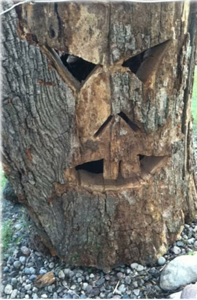 ������ �� ���