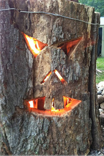 ������ �� ���