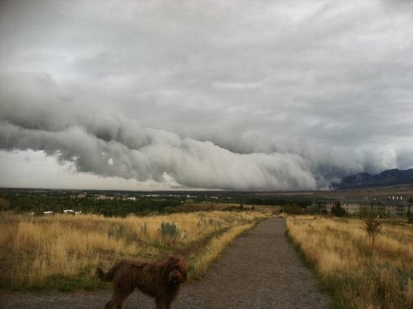 ������ �� �����