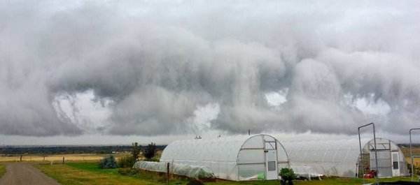 ������ �� �����