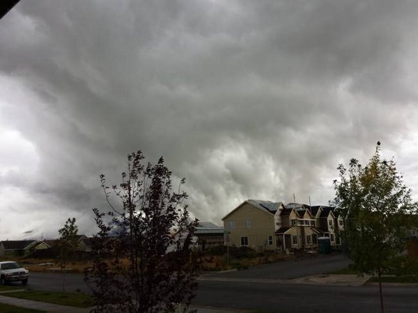 ������ �� �����