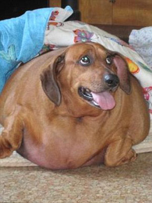 ���������� �����