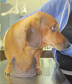 ���������� �����