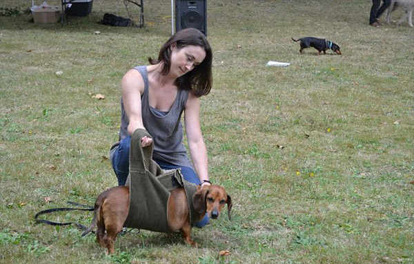 ���������� �����