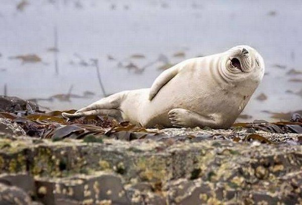 ���� ��������