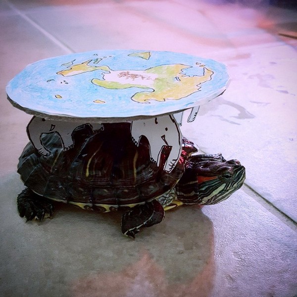 ���� ��������