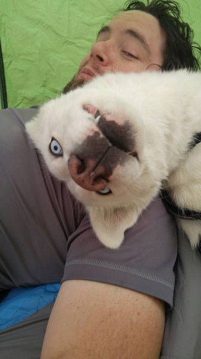 ���� ��������