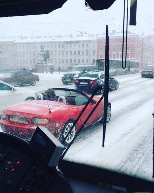 �����-��������