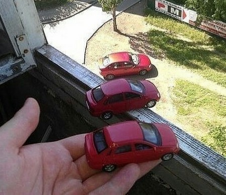 �����-��������