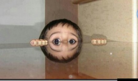 �����-��������