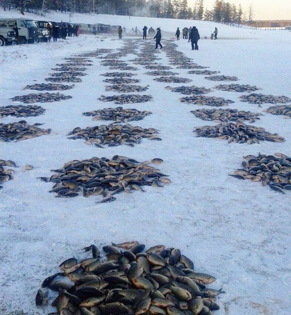 ����������