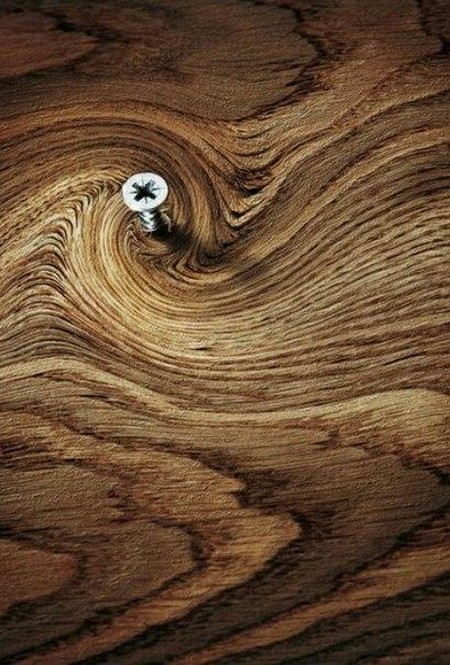 �������� ��������