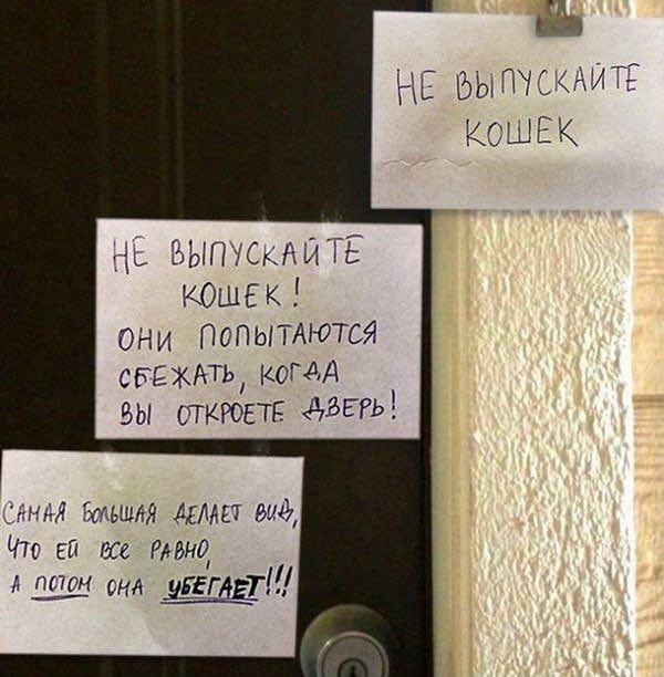 ������ �������