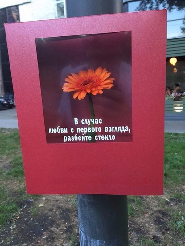 ������ �������