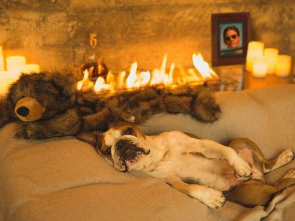 ���� ��������