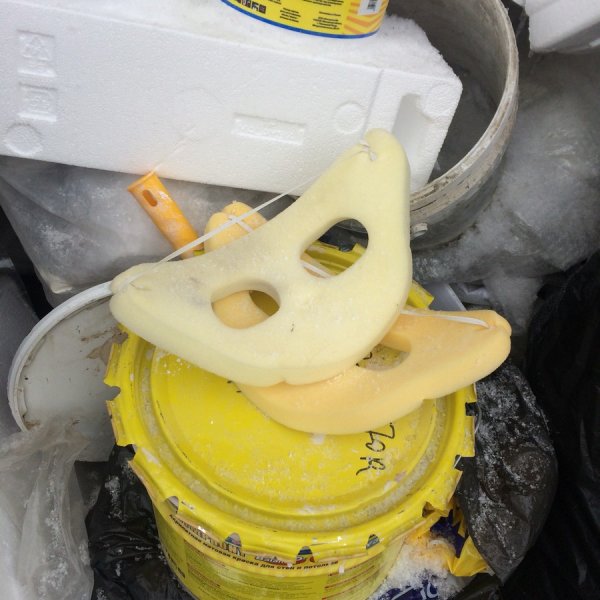 �����-��������