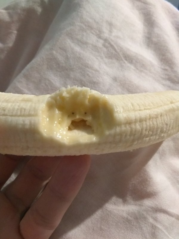 �����-��������