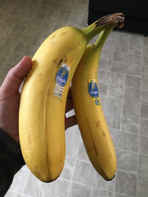 �����-��������