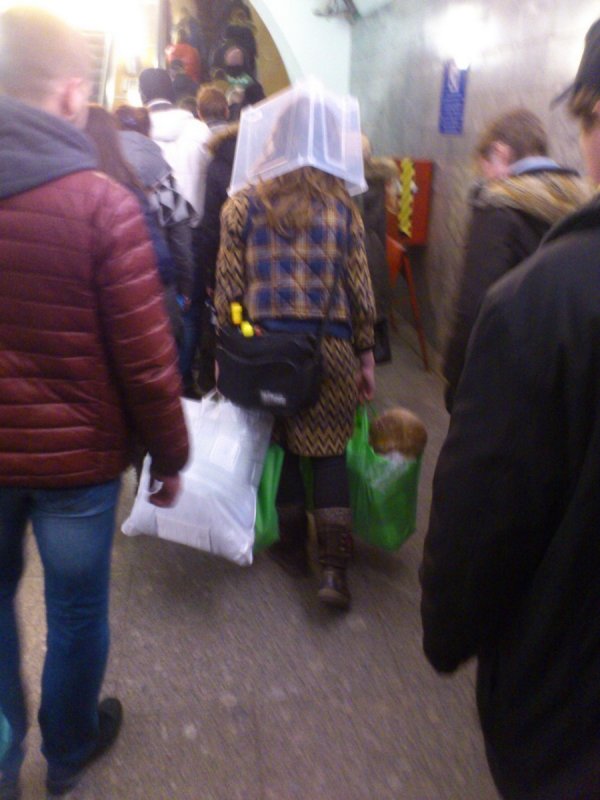 ����������