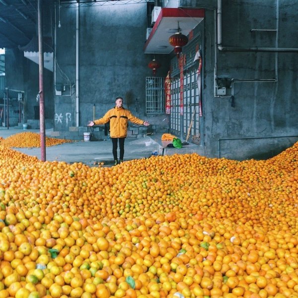 ����������