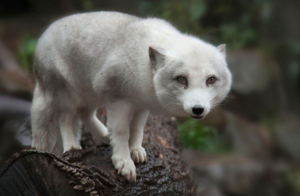 �������������