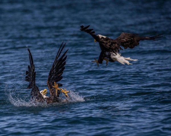 �������������