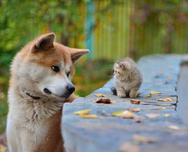 �������������