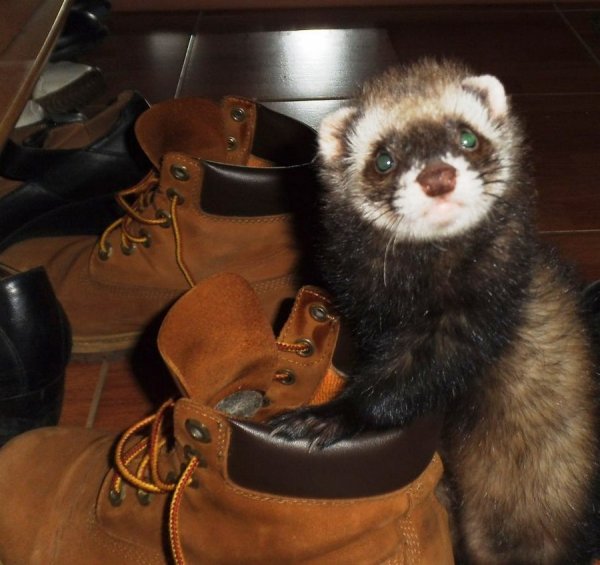 �������������