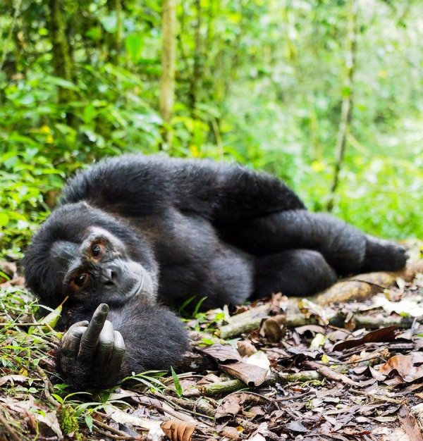 �������������