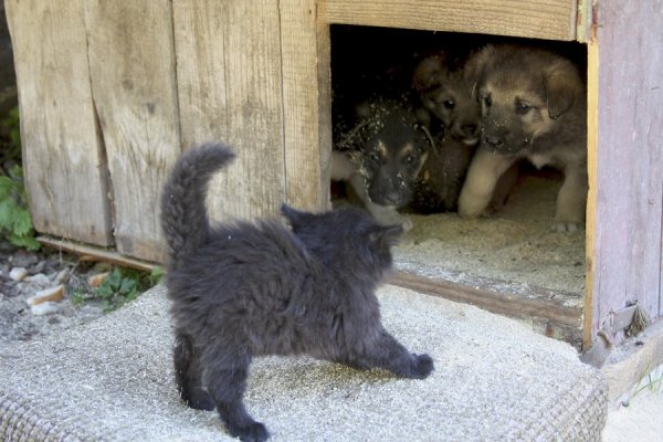 �������������