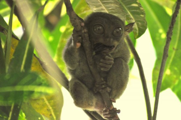 �������������