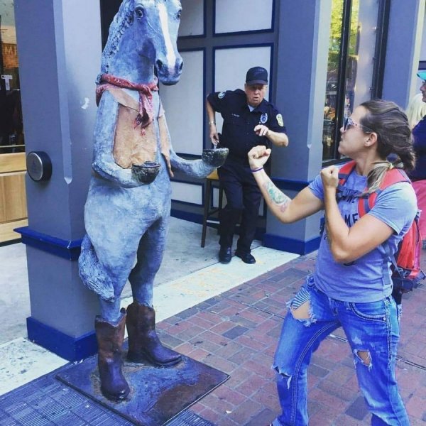 �������������