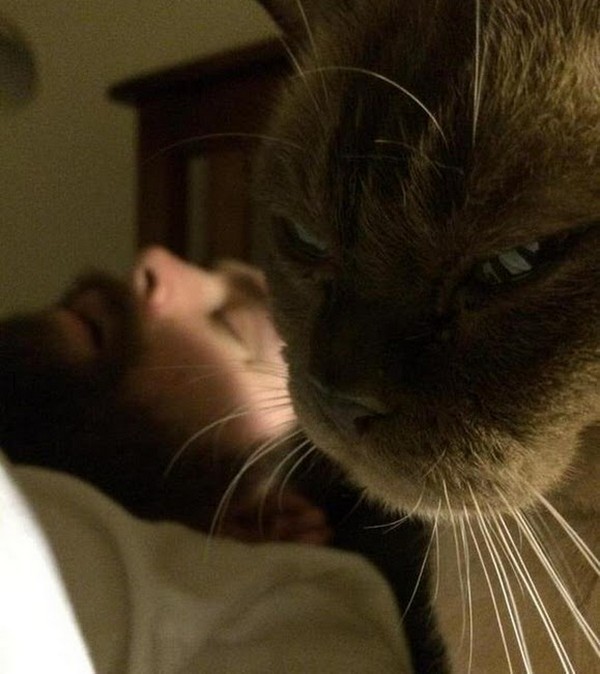 ������ �����