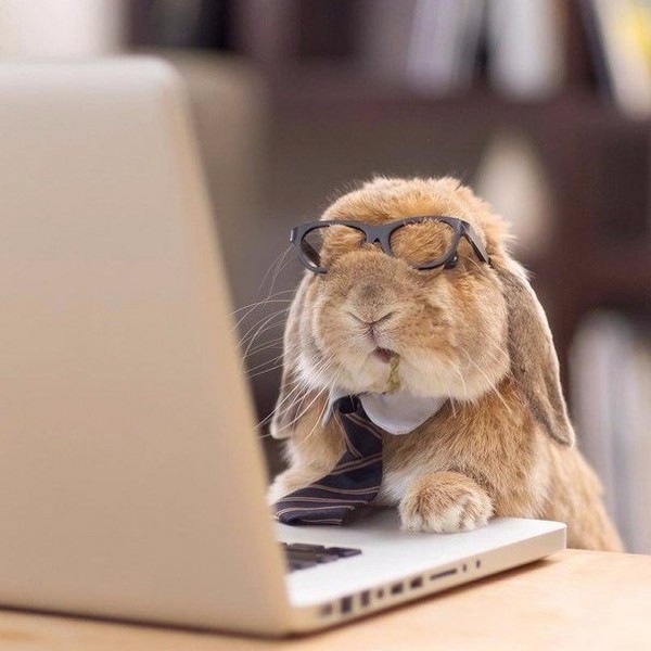 ������ �����