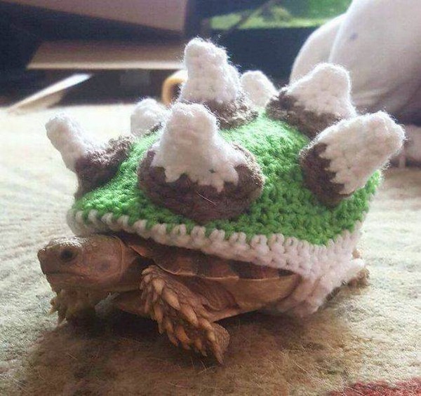 ������ �����