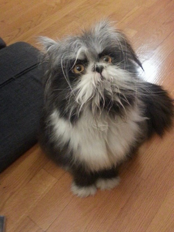 ������ �����