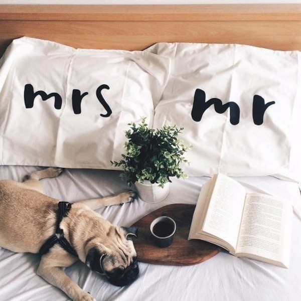 ������ �����