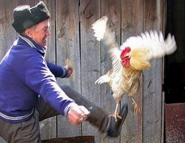 ������ �����