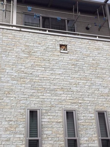 ������ �����