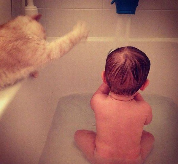 �������������