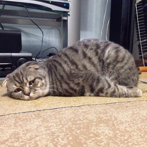 �������������