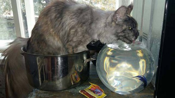 �������������