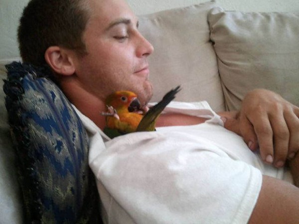 �������������