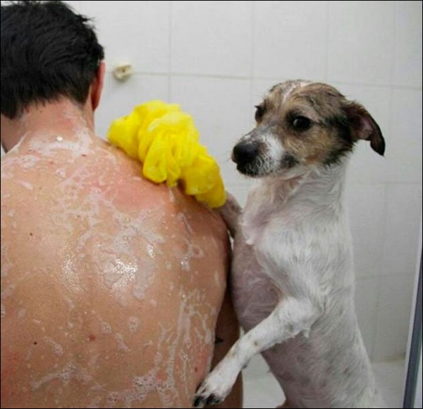 ���� ��������