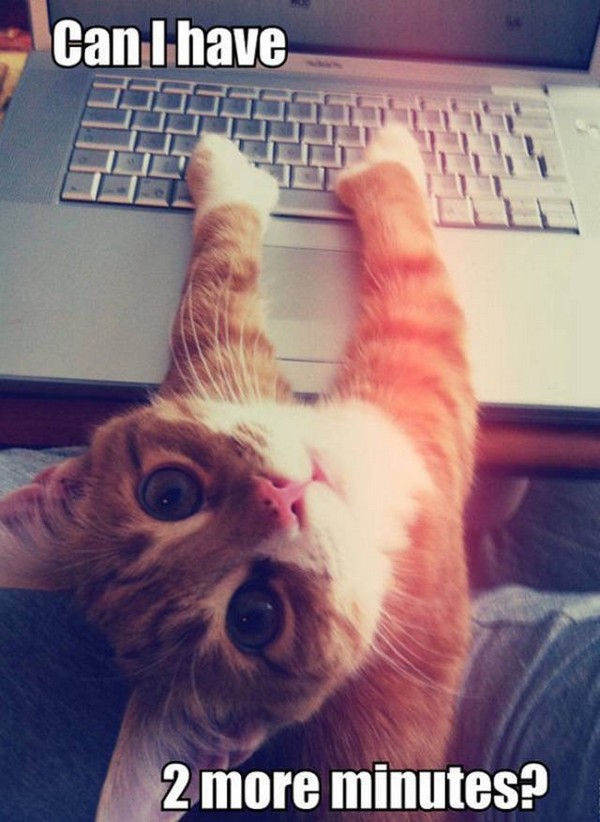 ���� ��������