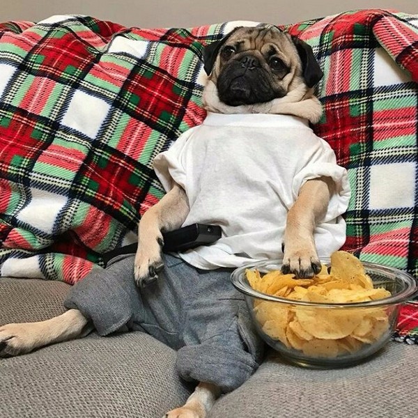 ���� ��������