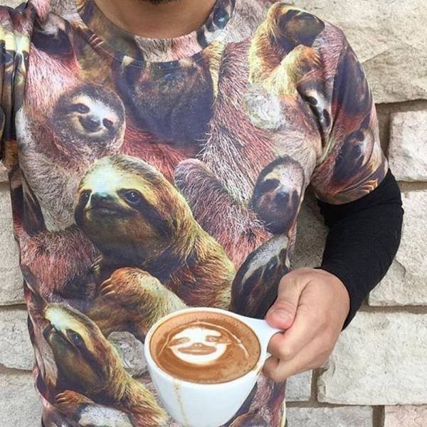 ���� ��������