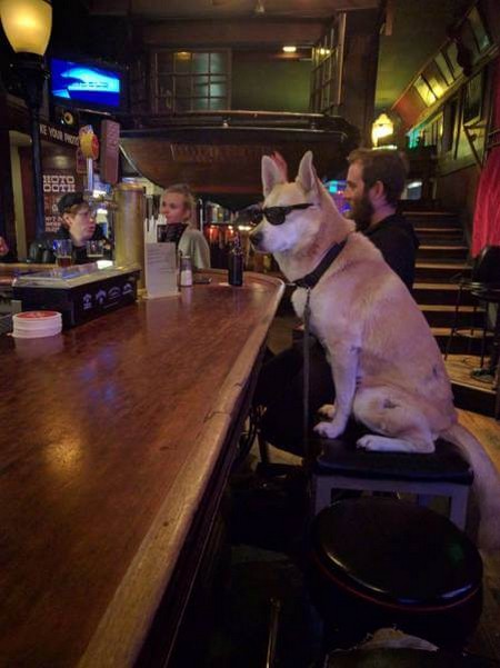 ���� ��������